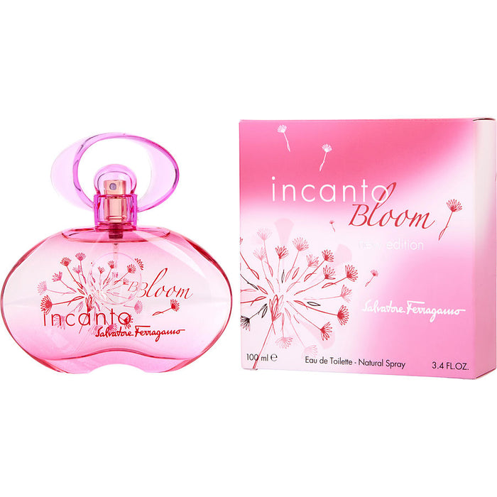 Incanto Bloom