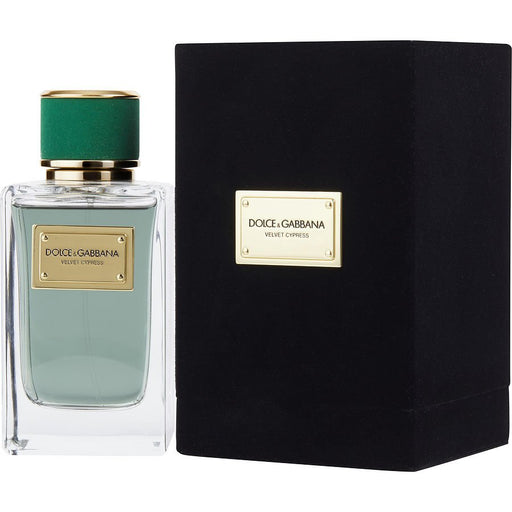 Dolce & Gabbana Velvet Cypress - 7STARSFRAGRANCES.COM