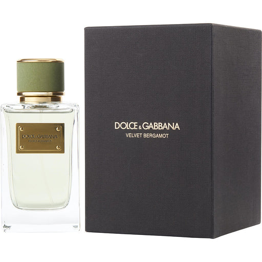 Dolce & Gabbana Velvet Bergamot - 7STARSFRAGRANCES.COM