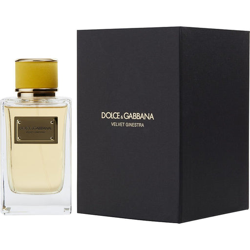 Dolce & Gabbana Velvet Ginestra - 7STARSFRAGRANCES.COM