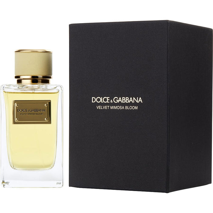 Dolce & Gabbana Velvet Mimosa Bloom - 7STARSFRAGRANCES.COM